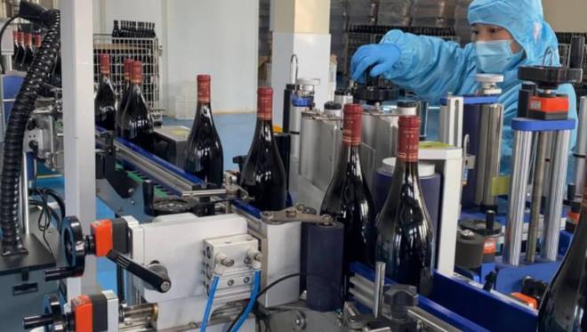 青島紫斐:匠心筑夢,打造藍莓酒界的中國&ldquo;拉菲&rdquo;